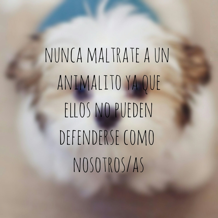reflexiones para la vida