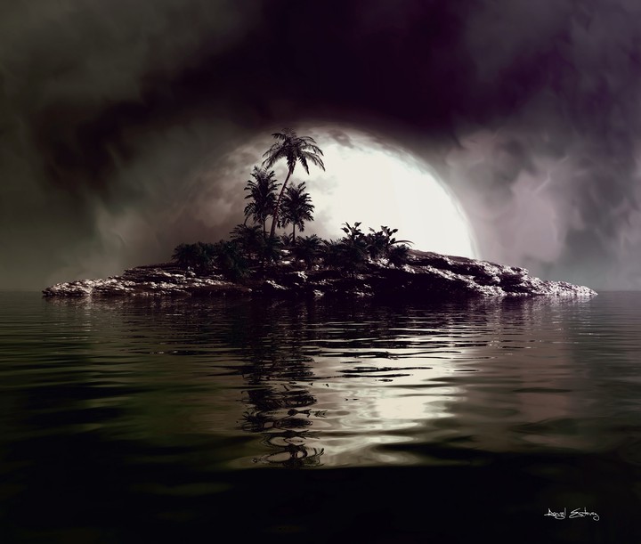Palms Island Art