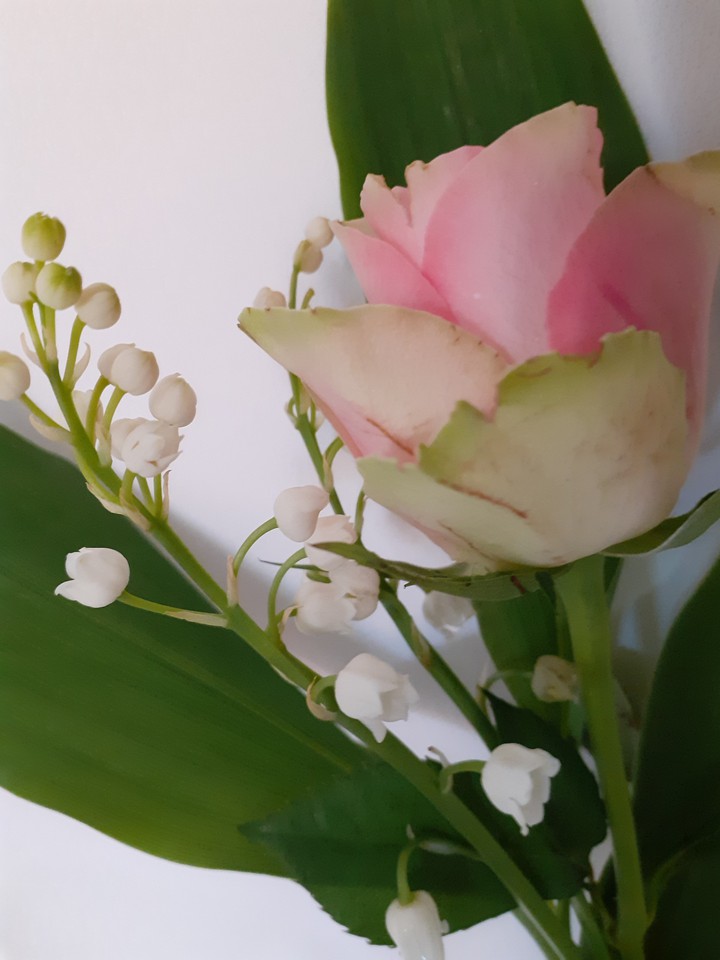 muguet
