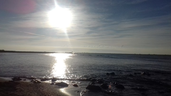 Mare
