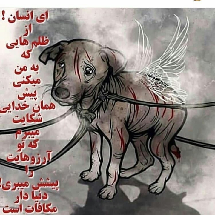 حیوان آزاری ممنوع
