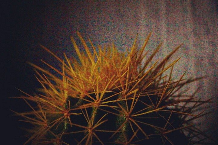 evening