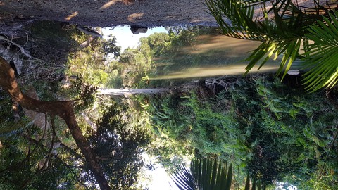 Emmagen Creek near Cape Tribulation, Queensland