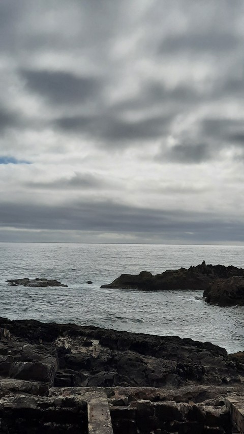 Guicho