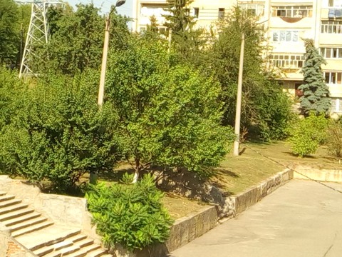 Красота