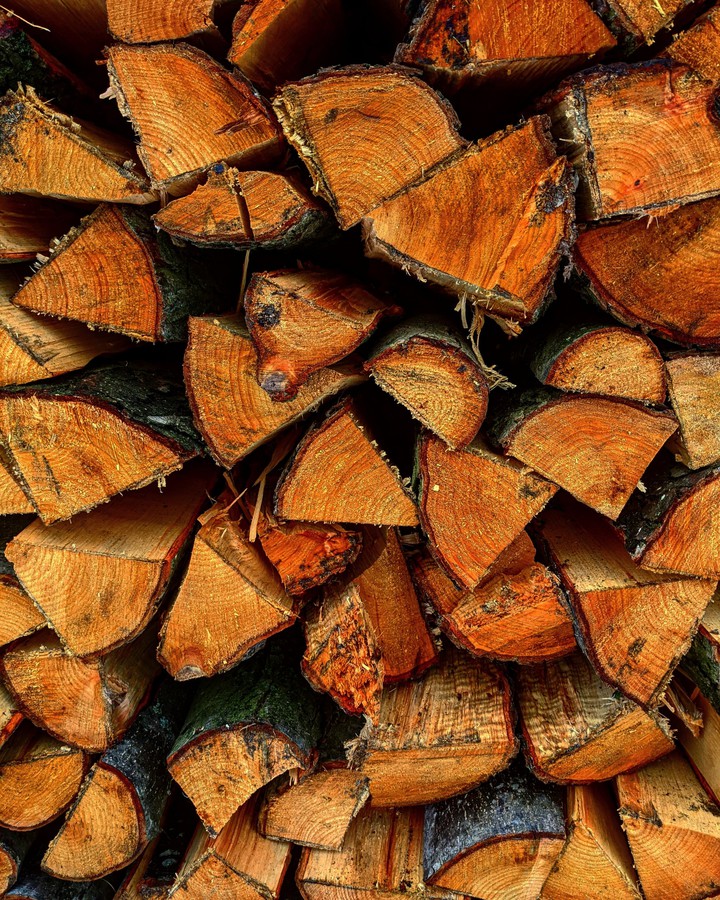Holz