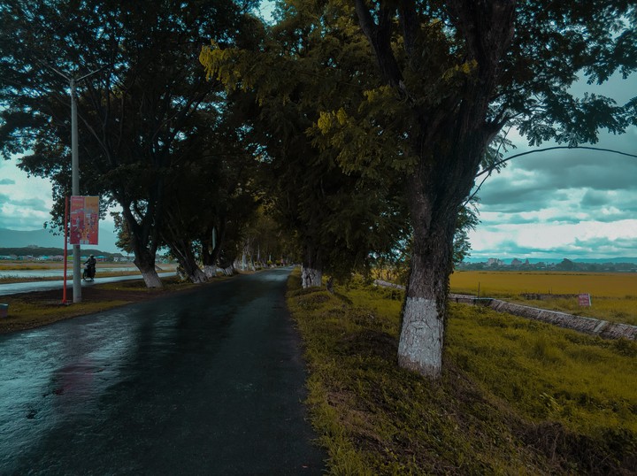 Road