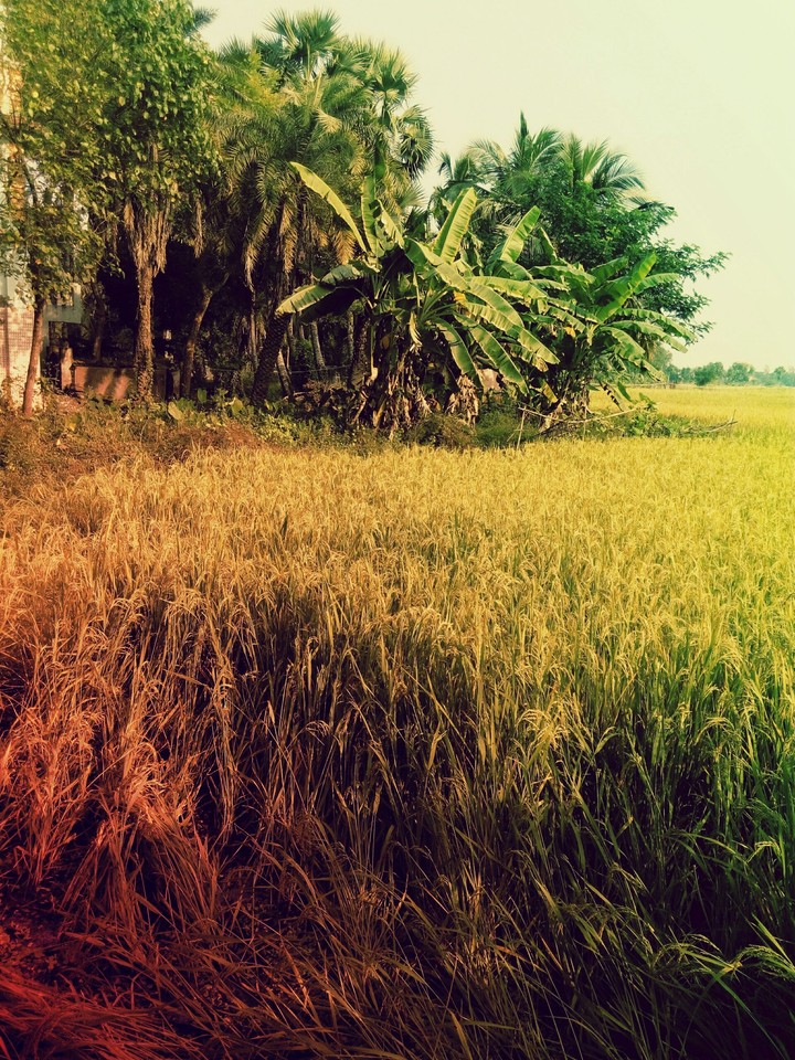 awesome nature