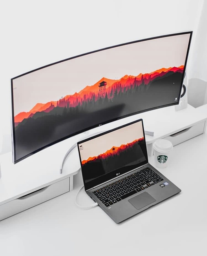 labtop and monitor