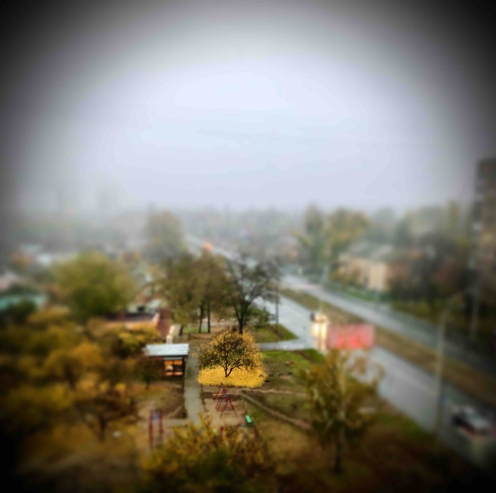 autumn