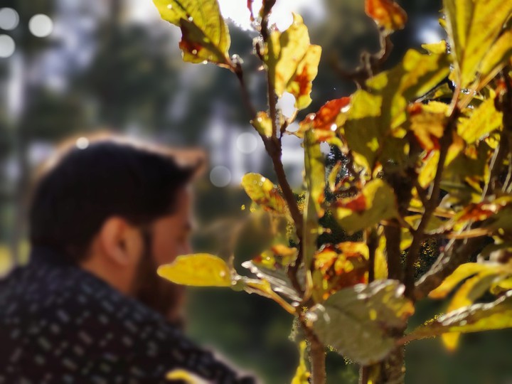 lost in nature