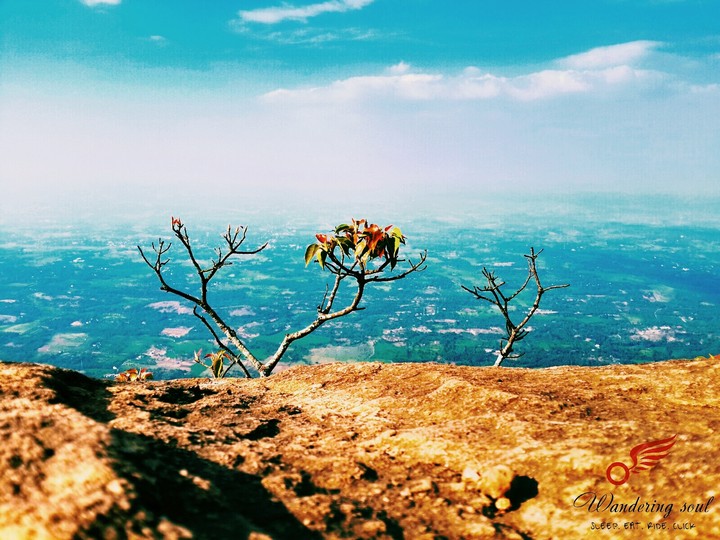 nelliyampthi hill station