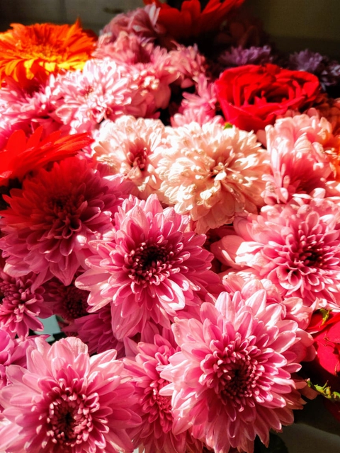 flowers
