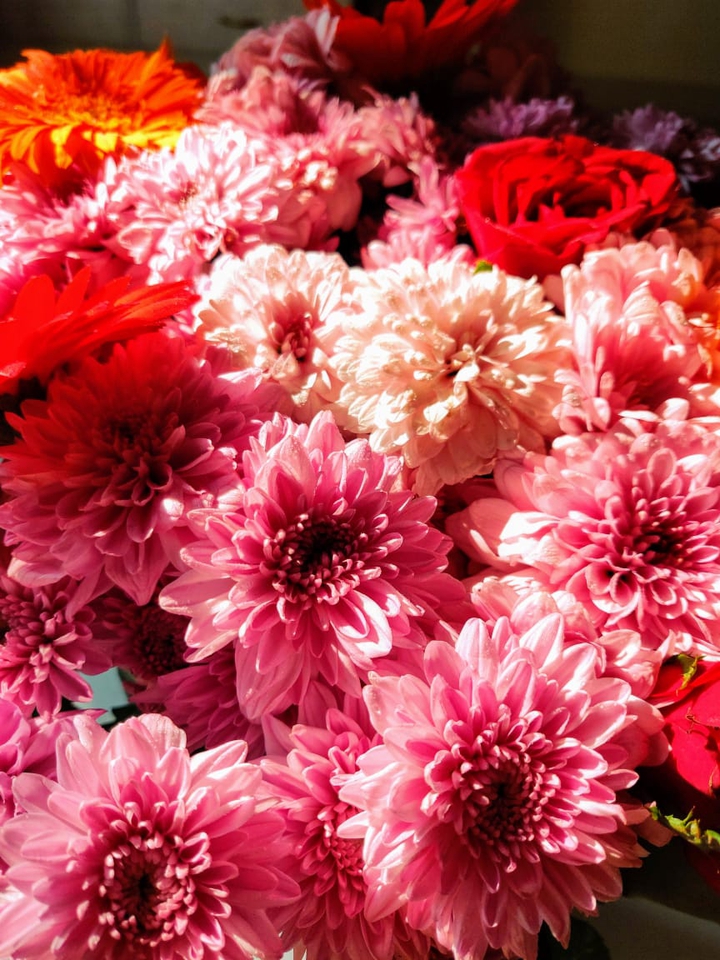 flowers