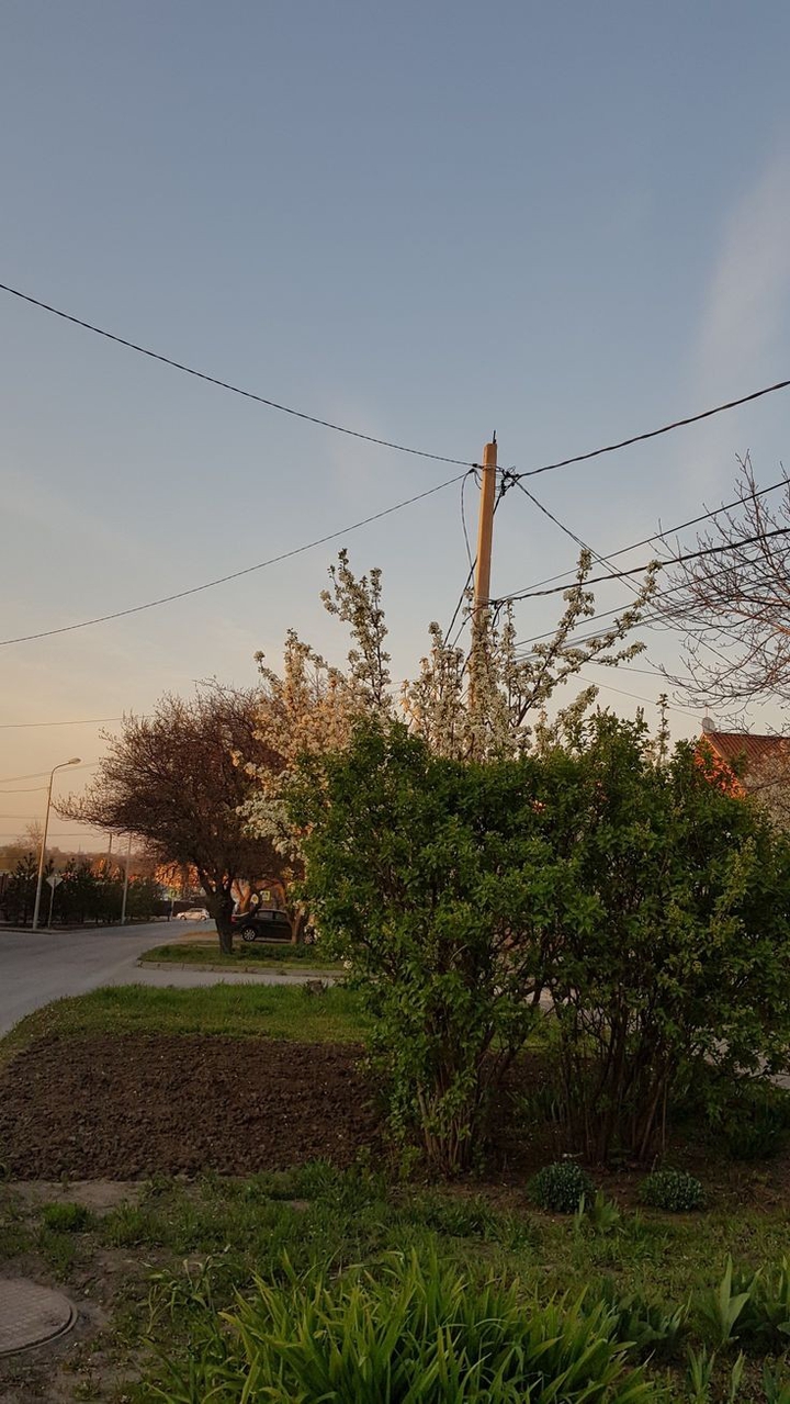 on my street