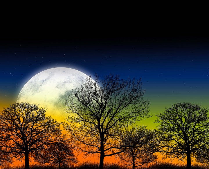 NATURE BEAUTY
