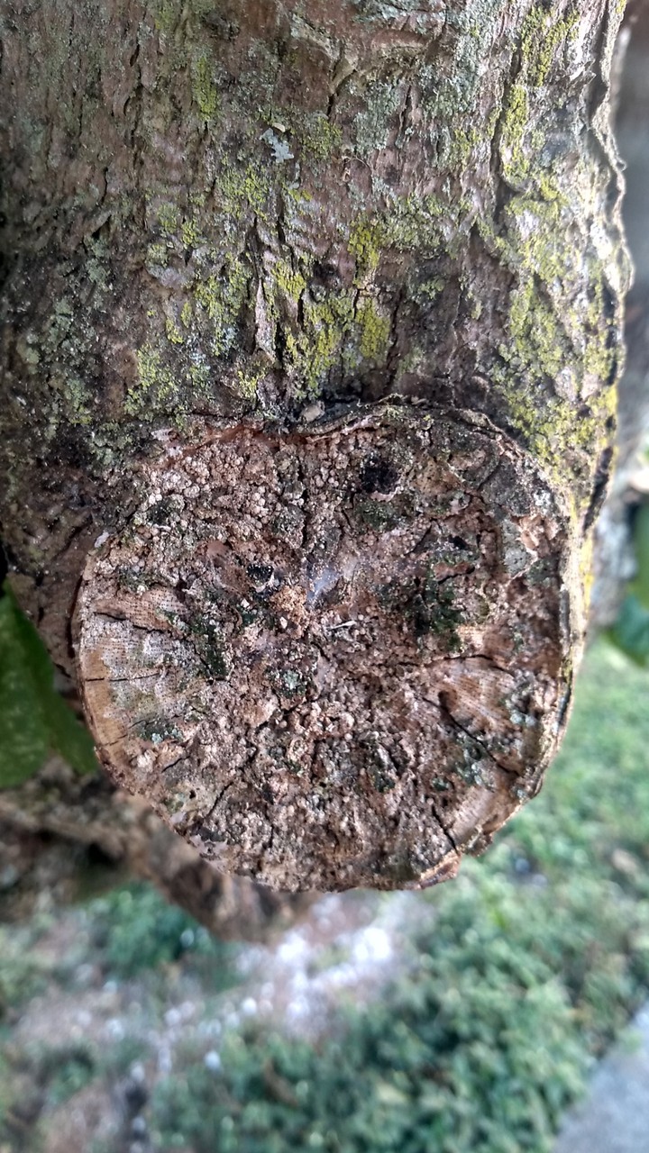 ?