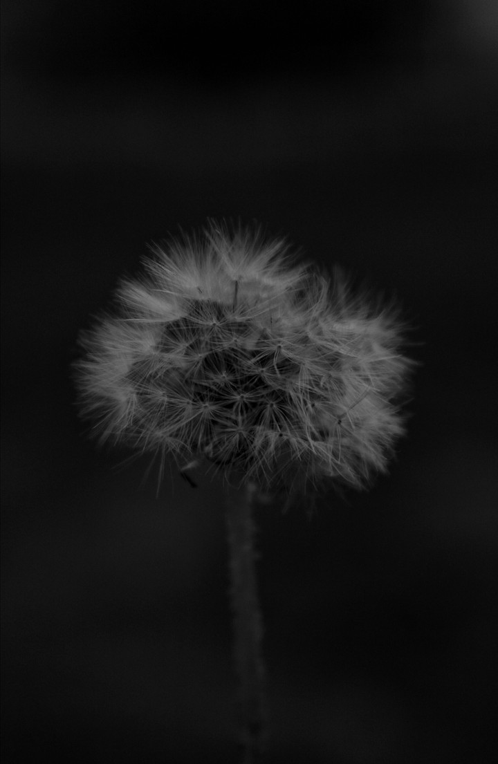 ᨗ