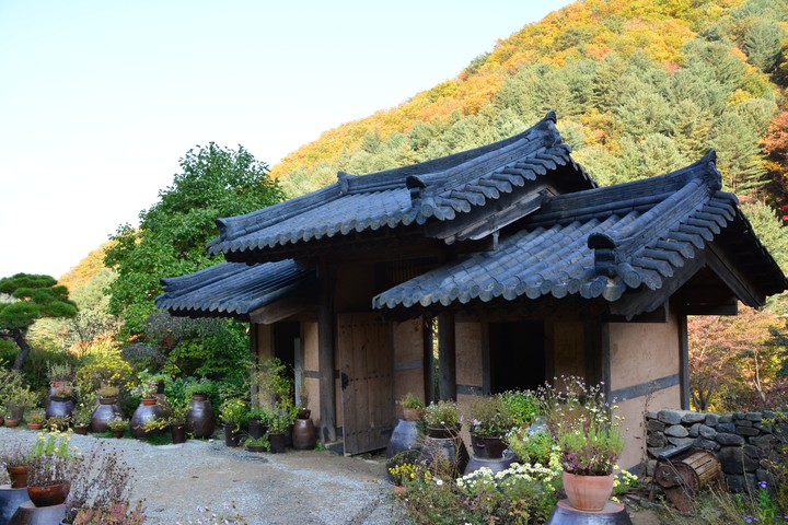 수목원이미지
