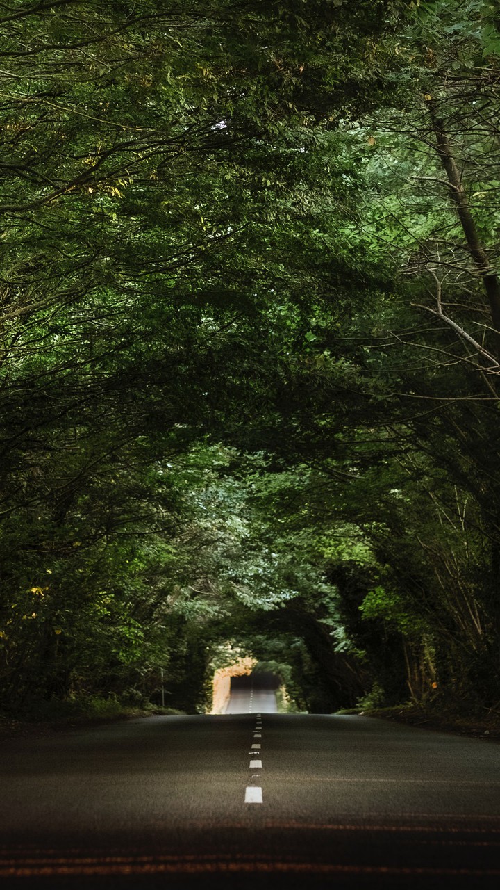 el túnel