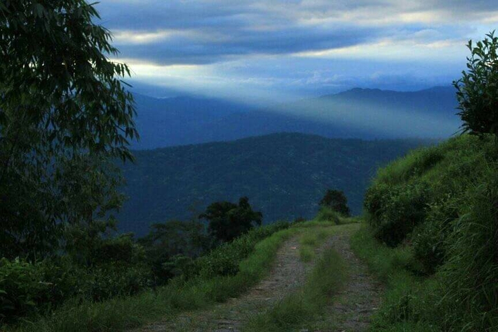 Nature