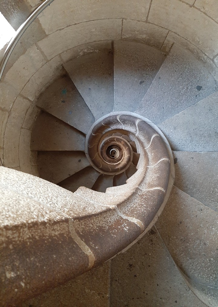 SnailWayDown