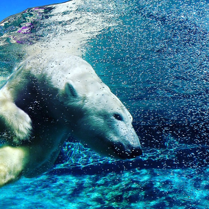 Ours