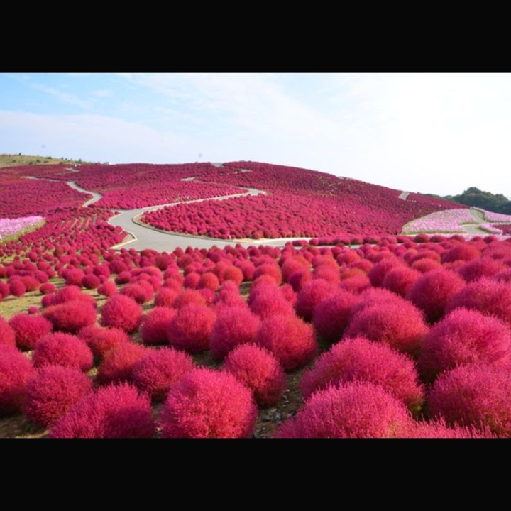 nature