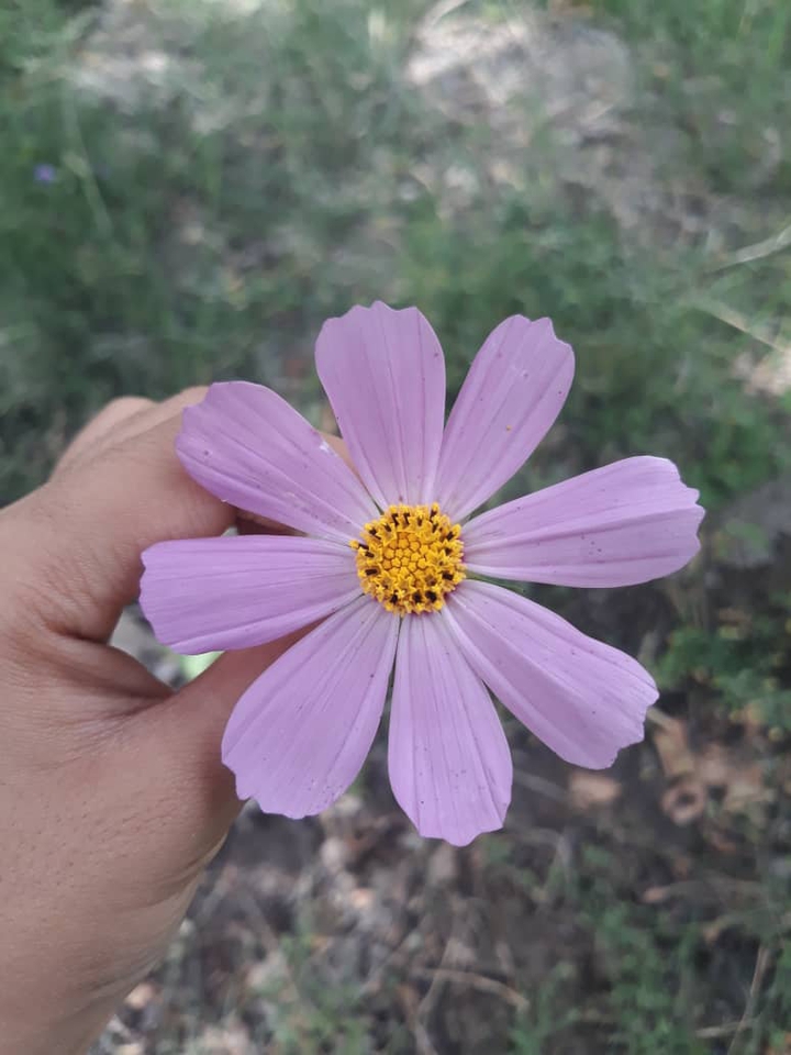 ??