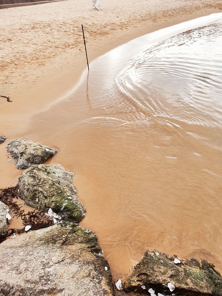 seashore