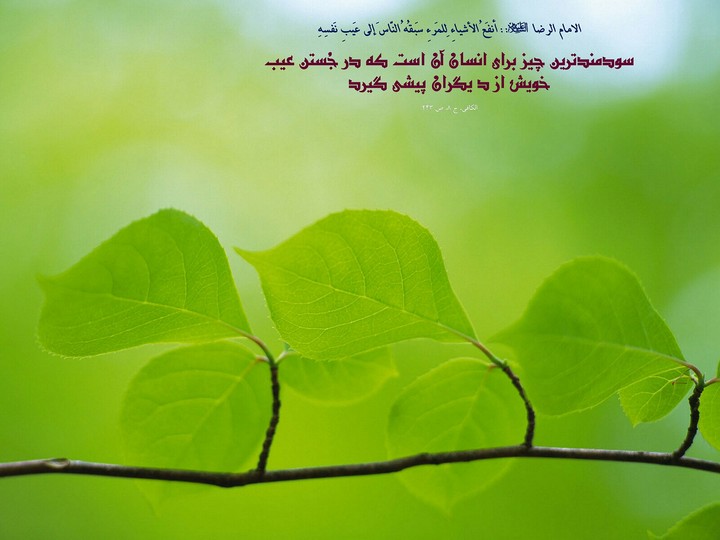 hadis