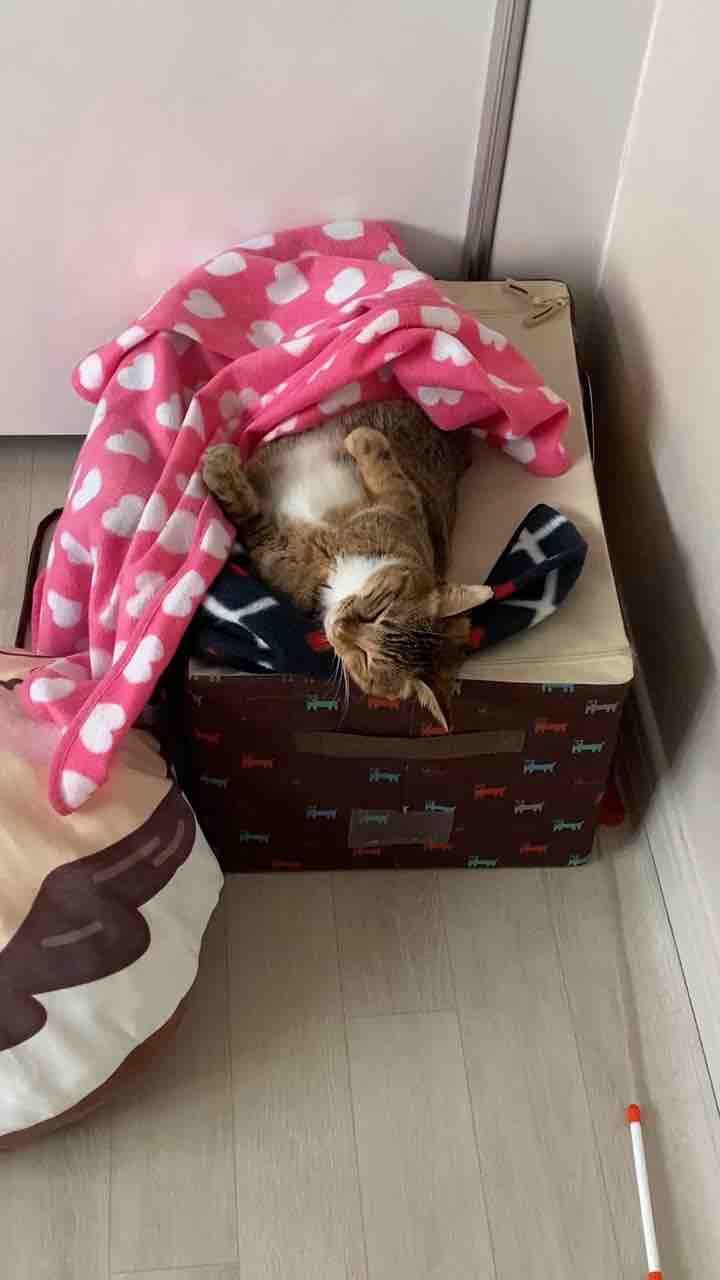보리보리
