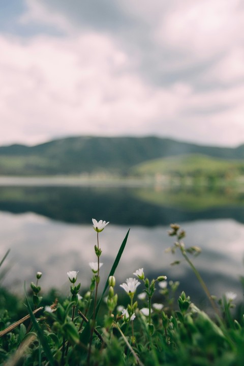 خلفيات loch, Reservoir
