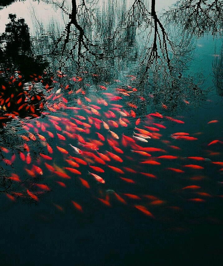 nature