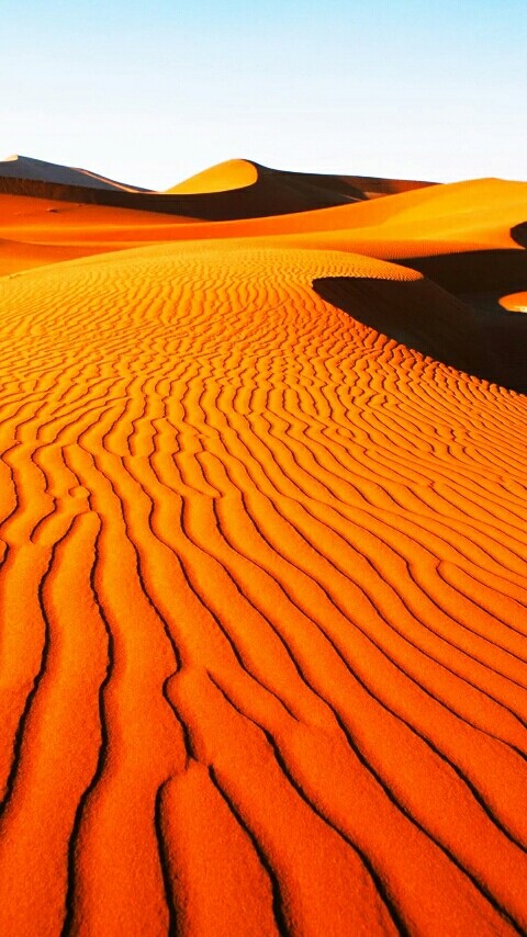 Desert