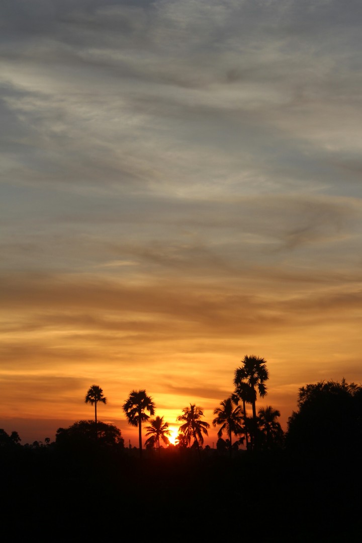 captured by me,love to click this photos