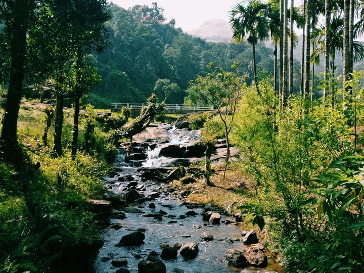 Nature