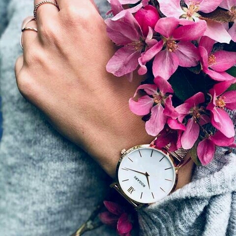|☆°•My spiring world•°☆|