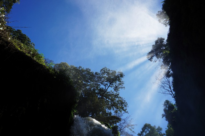 let a little sun in