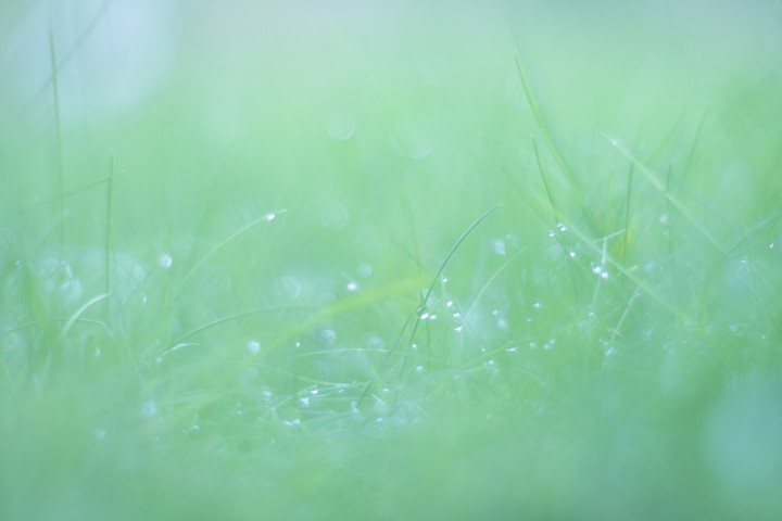 고요