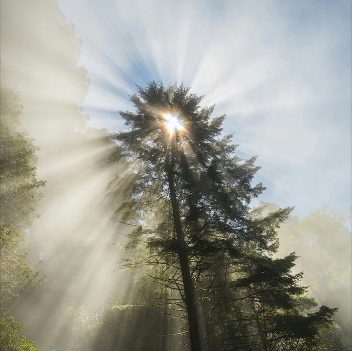 Naturally Nature