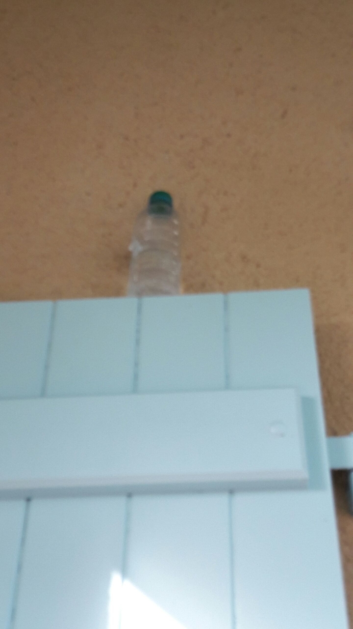 botlle flip