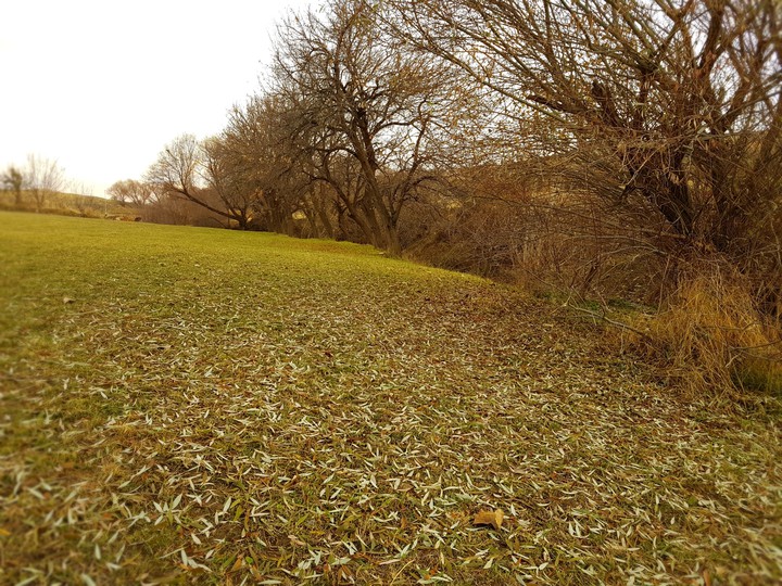autumn