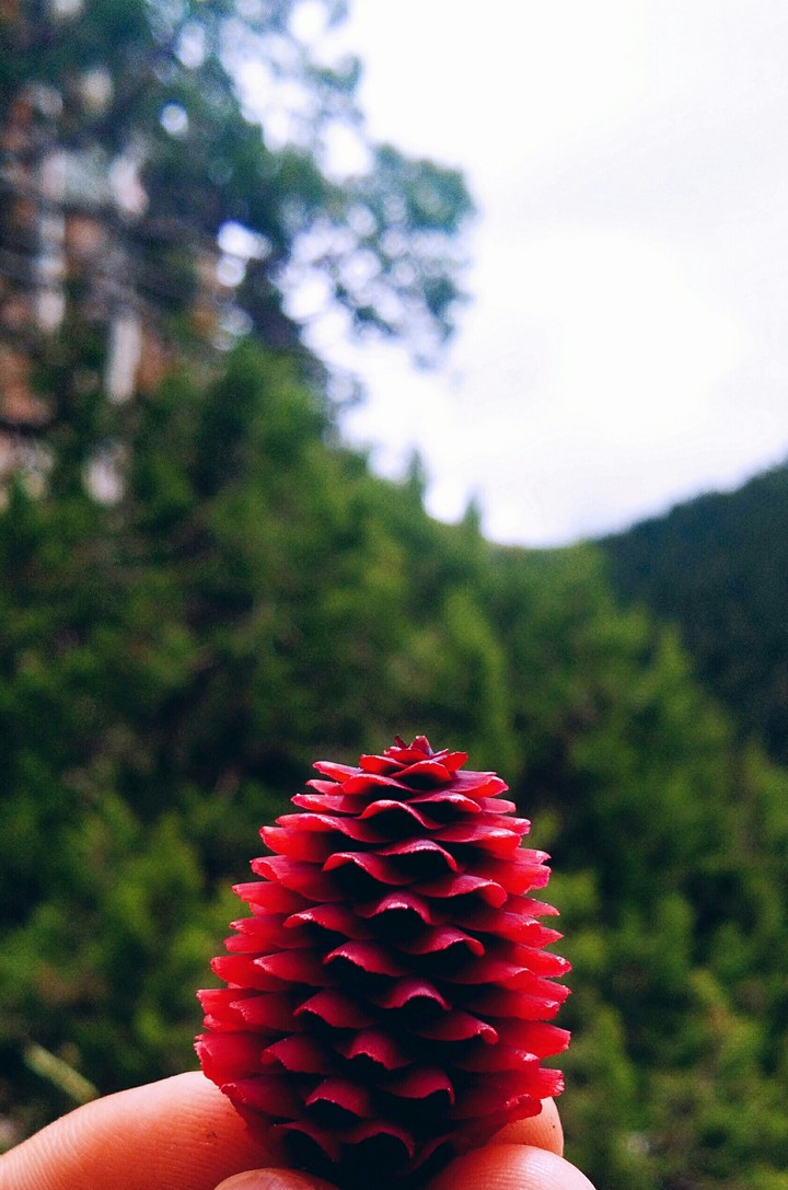 ཚིག་གུ