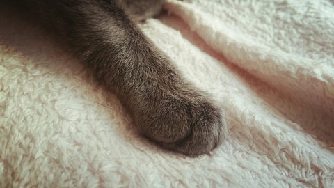 cutee