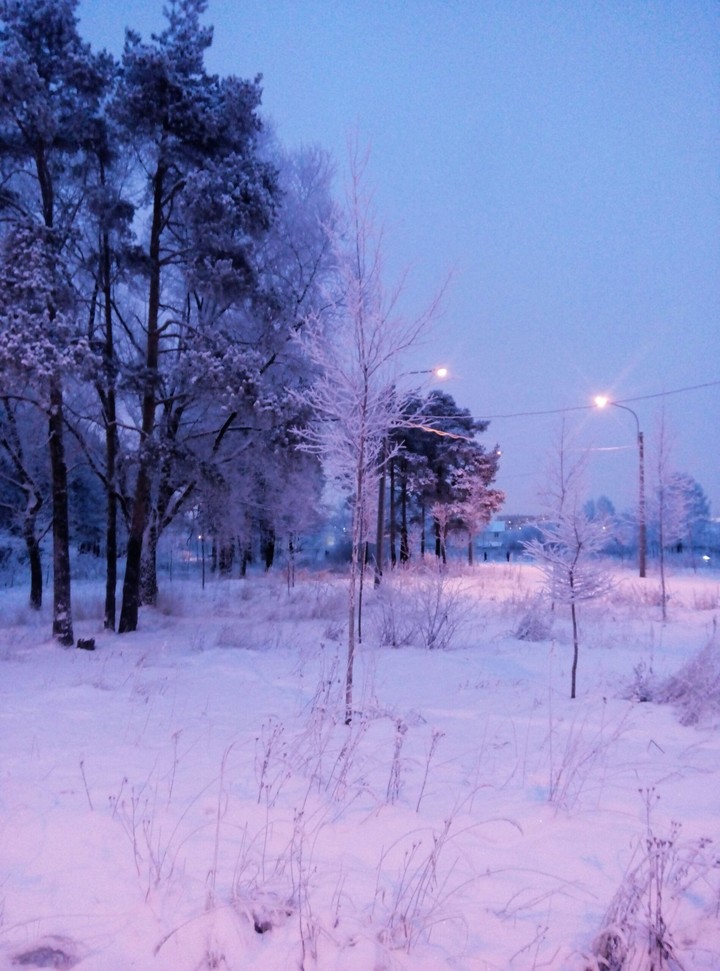 romantic winter