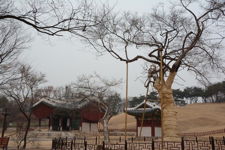 홍릉이미지