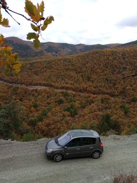 hatchback, travel桌布