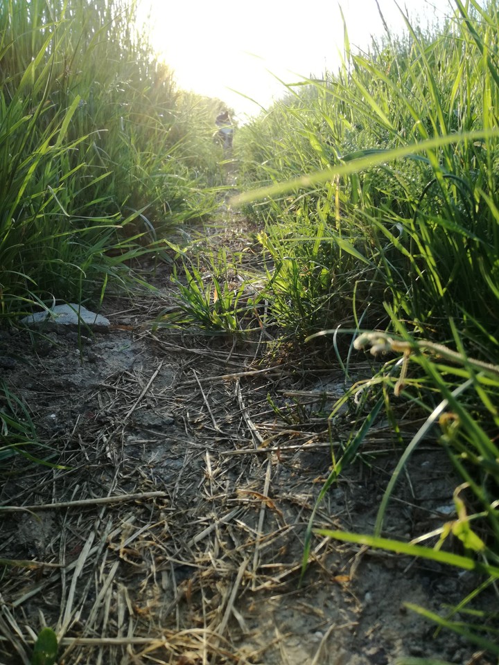 Road