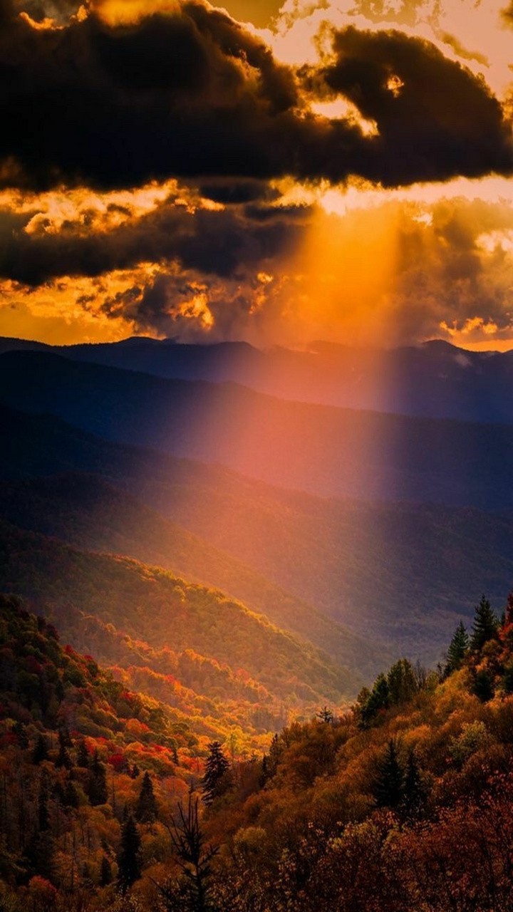 Nature Light
